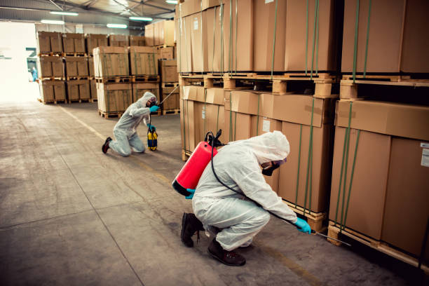 Best Cockroach Control Services  in Byrdstown, TN