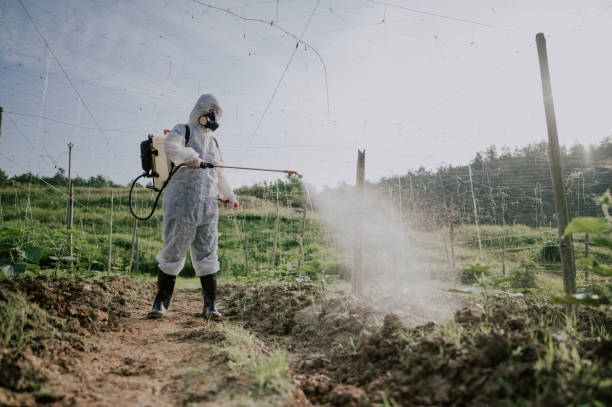 Best Local Pest Control Services  in Byrdstown, TN
