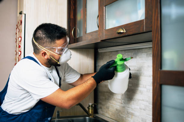 Trusted Byrdstown, TN Pest Control Experts