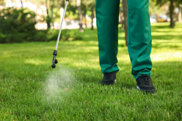 Best Rat Extermination Near Me  in Byrdstown, TN
