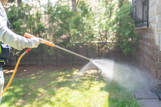 Best Pest Control for Homes  in Byrdstown, TN