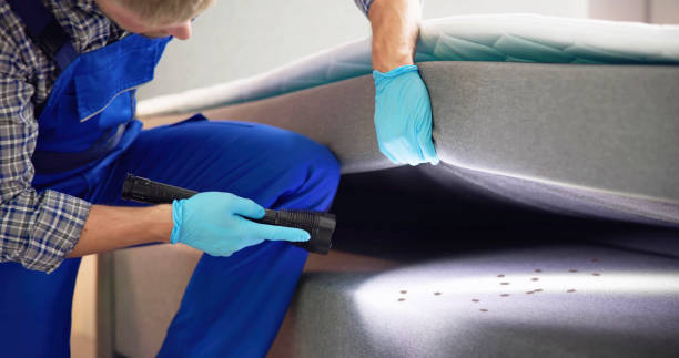 Best Affordable Pest Control Services  in Byrdstown, TN