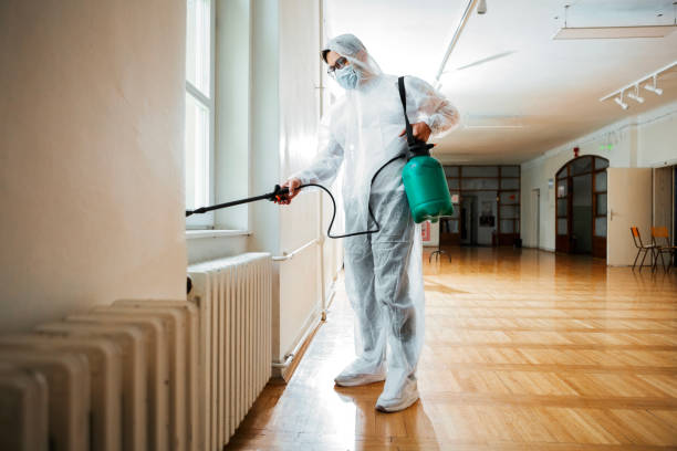 Best Bed Bug Extermination  in Byrdstown, TN