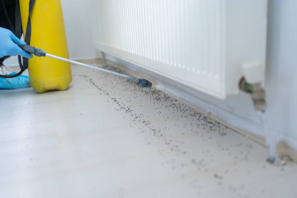Best Best Pest Control Companies  in Byrdstown, TN