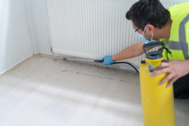 Best Pest Control for Restaurants  in Byrdstown, TN